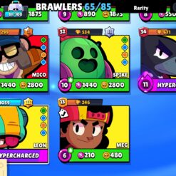 Screenshot 2024 11 30 21 15 49 940 com.supercell.brawlstars1