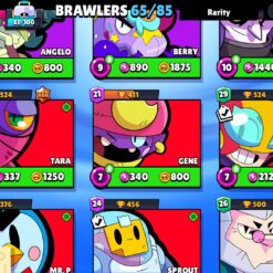 Screenshot 2024 11 30 21 17 53 869 com.supercell.brawlstars1