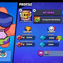 Screenshot 20241223 103719 Brawl Stars 1