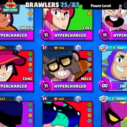 Screenshot 2025 01 03 15 13 36 451 com.supercell.brawlstars