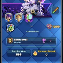 اکانت کلش اف کلنز تاون هال 13 لول 116 کد 117502 11 Screenshot 20260701 150755 Clash Royale