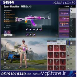 اکانت پابجی موبایل لول 66 کد 51914