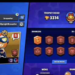 اکانت براول استارز کاپ 3500 کد 41406 7 اکانت براول استارز کاپ 3500 کد 41406 - Image 3