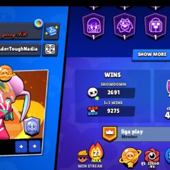 اکانت براول استارز کاپ 650031 کد 41378 7 اکانت براول استارز کاپ 650031 کد 41378 - Image 2