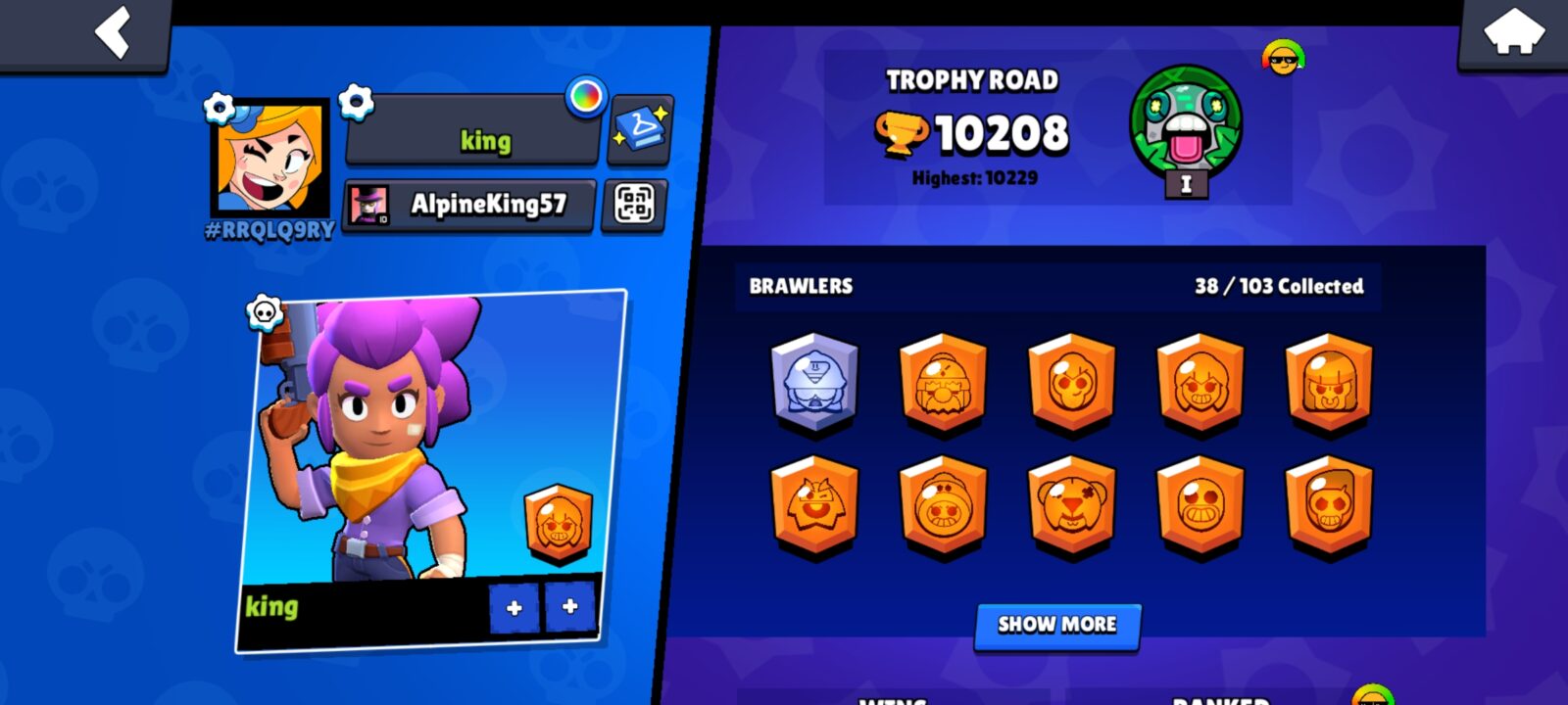 اکانت براول استارز کاپ 10208 کد 41760 3 اکانت براول استارز کاپ 10208 کد 41760 - تصویر 3