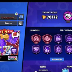 اکانت براول استارز کاپ 71000 کد 41945 11 اکانت براول استارز کاپ 71000 کد 41945 - تصویر 4