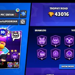 اکانت براول استارز کاپ 43016 کد 41761 9 اکانت براول استارز کاپ 43016 کد 41761 - تصویر 2