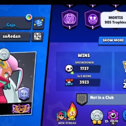 اکانت براول استارز کاپ 32000 کد 41764 7 اکانت براول استارز کاپ 32000 کد 41764 - تصویر 2