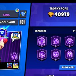 اکانت براول استارز کاپ 41000 کد 41852 8 اکانت براول استارز کاپ 41000 کد 41852 - تصویر 3