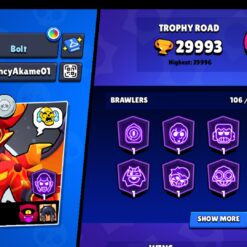 اکانت براول استارز کاپ 29993 کد 41735 8 اکانت براول استارز کاپ 29993 کد 41735 - تصویر 2
